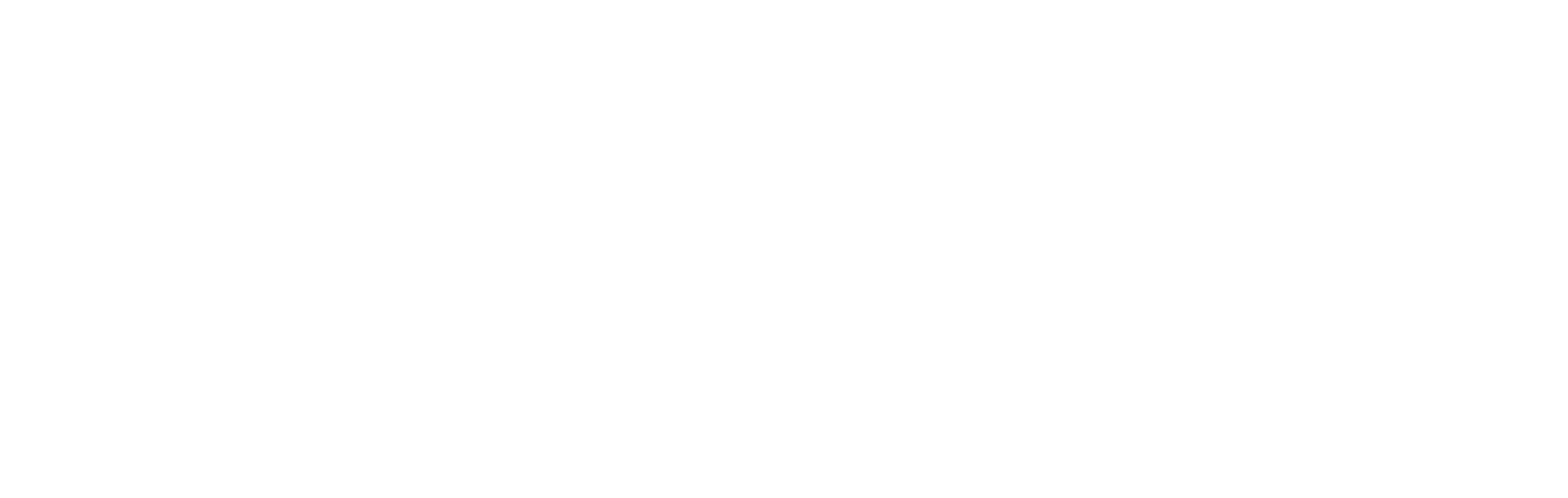 Freiwillige Feuerwehr Marburg-Ronhausen
